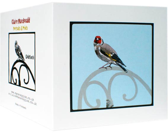 goldfinch card